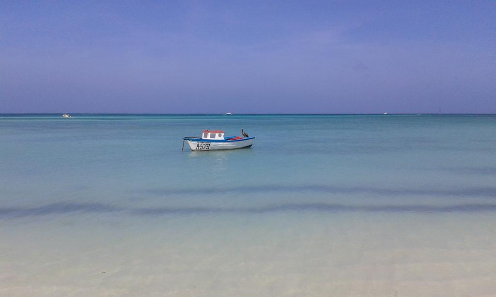 Karibu Aruba Boutique Hotel Palm Beach Eksteriør billede