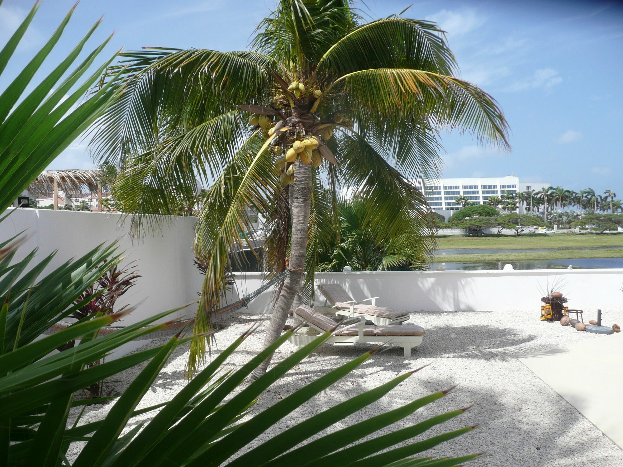 Karibu Aruba Boutique Hotel Palm Beach Eksteriør billede